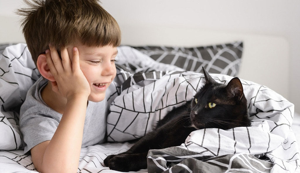 Search the vet for your pet Video