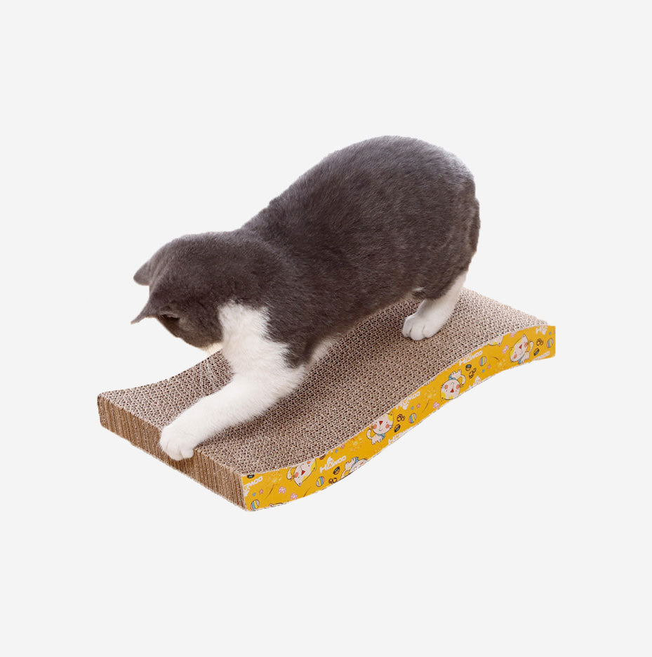 Royal Canin Exigent Cats Video