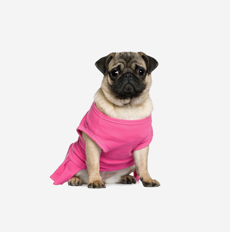 Pedigree Dentastix