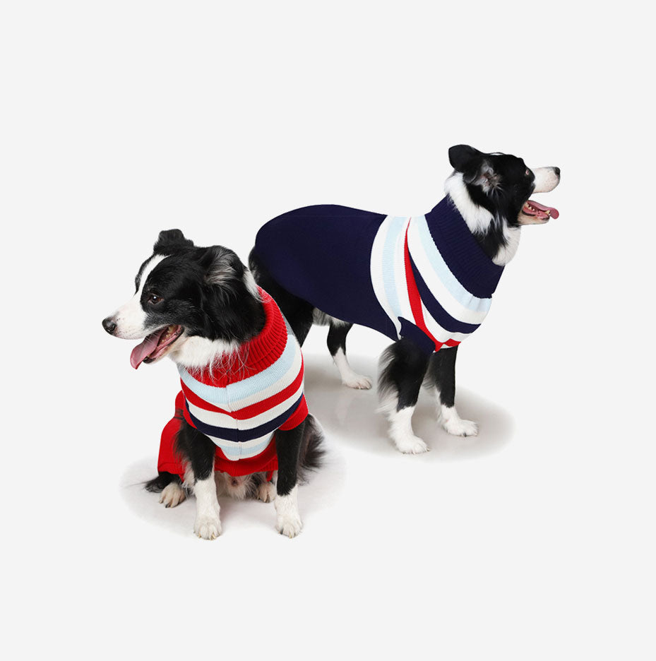 Coat for dogs